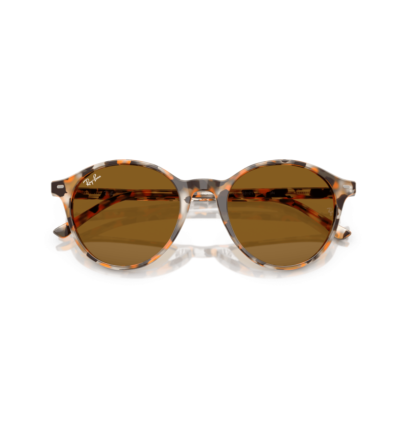 RAY-BAN - BERNARD - RB2230 - 135733 - 53