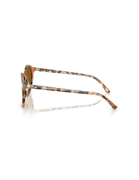 RAY-BAN - BERNARD - RB2230 - 135733 - 53