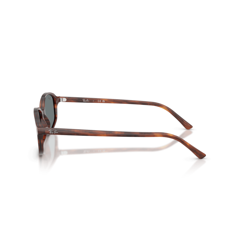 RAY-BAN - RB2232 - 954/62 - 56