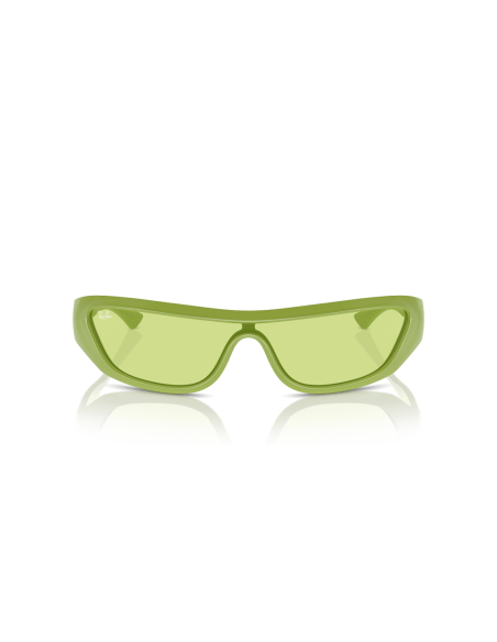 0RB4431__6763_2__P21__shad__fr