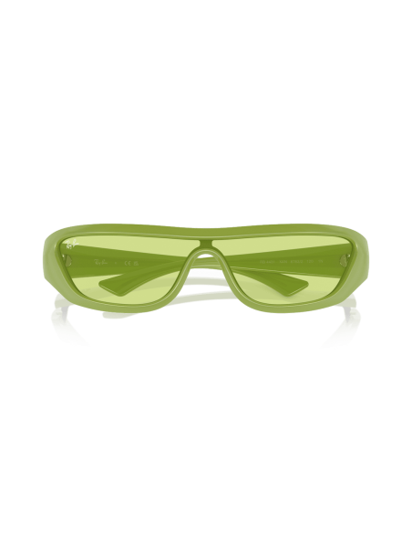 0RB4431__6763_2__P21__shad__cfr