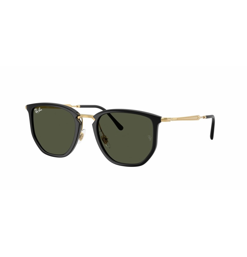 RAY-BAN - RB4451 - 630631 - 53