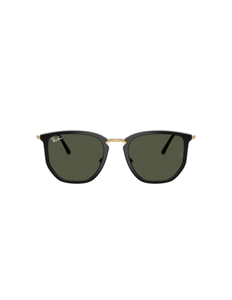 RAY-BAN - RB4451 - 630631 - 53