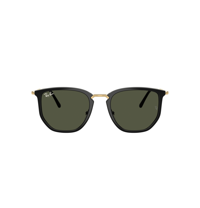 RAY-BAN - RB4451 - 630631 - 53