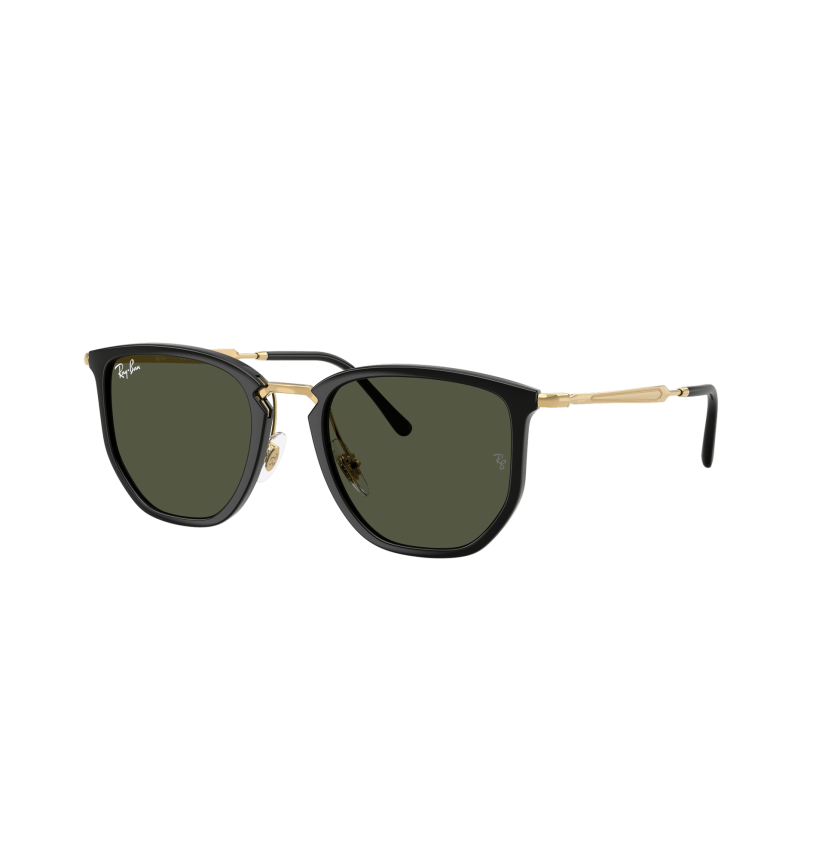 RAY-BAN - RB4451 - 630631 - 53