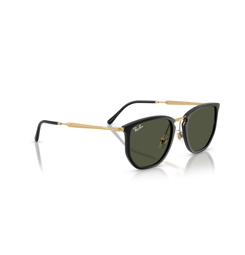 RAY-BAN - RB4451 - 630631 - 53