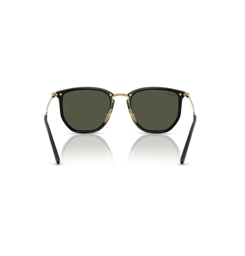 RAY-BAN - RB4451 - 630631 - 53