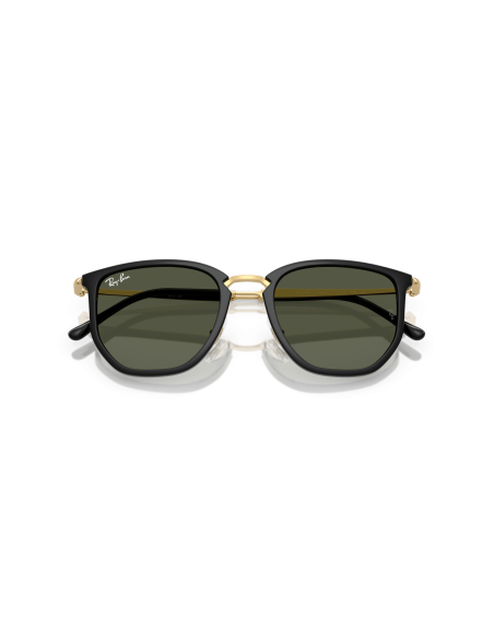 RAY-BAN - RB4451 - 630631 - 53