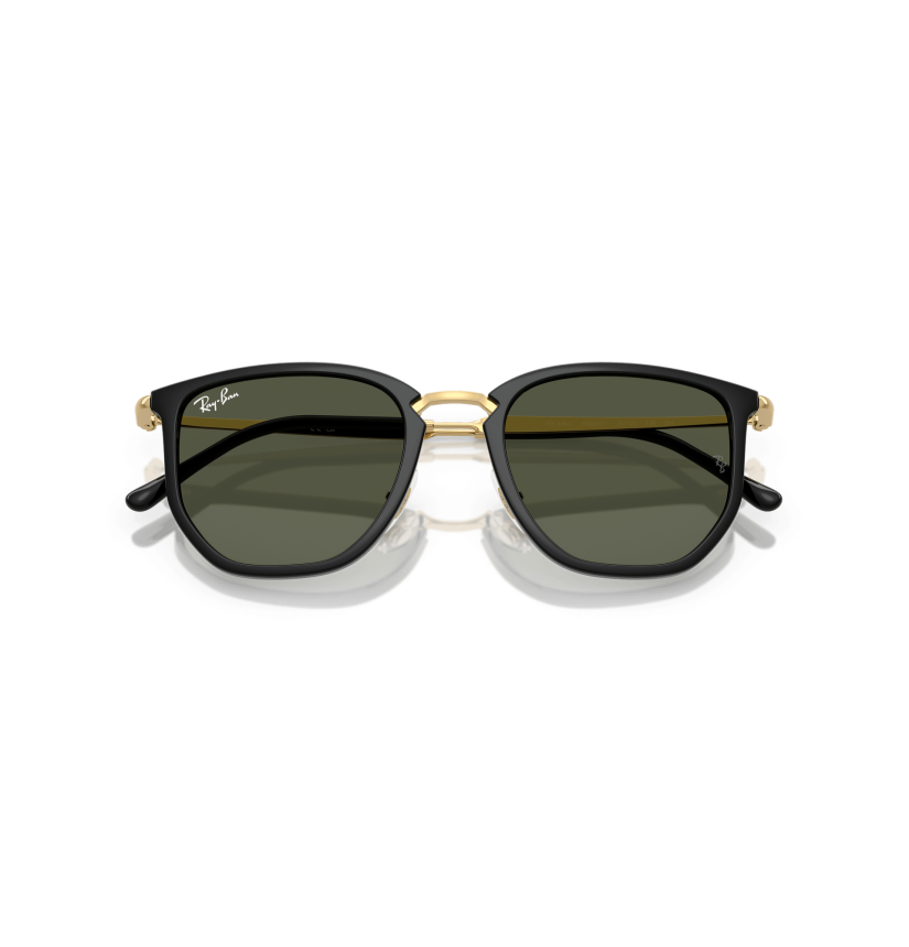 RAY-BAN - RB4451 - 630631 - 53