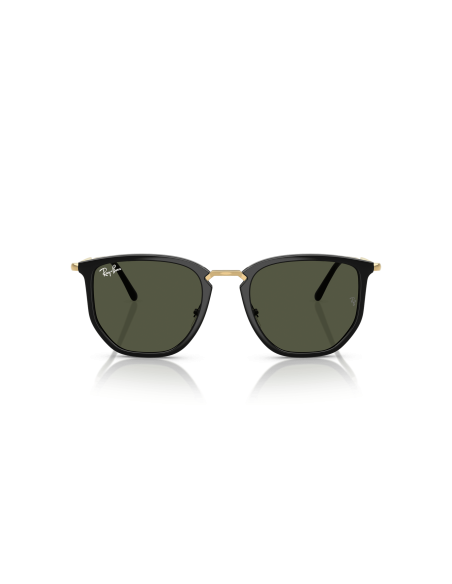 RAY-BAN - RB4451 - 630631 - 53