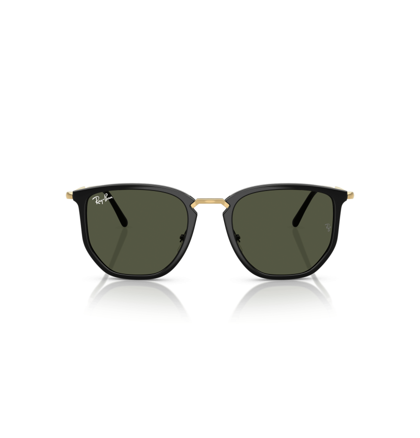 RAY-BAN - RB4451 - 630631 - 53