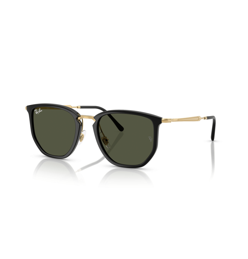 RAY-BAN - RB4451 - 630631 - 53