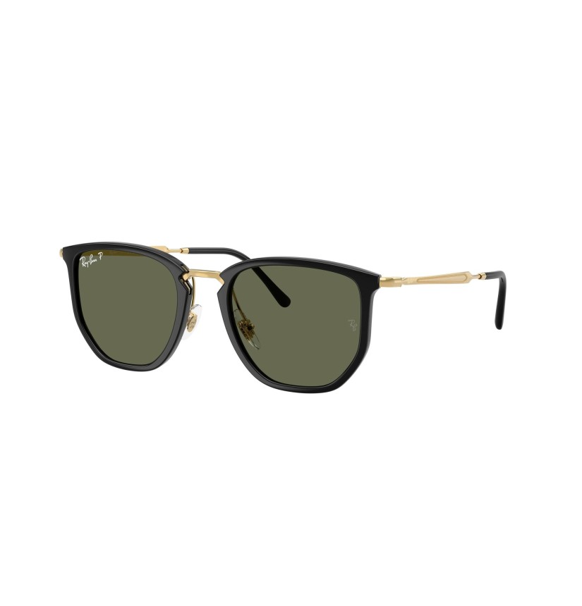 RAY-BAN - RB4451 - 630658 - 53