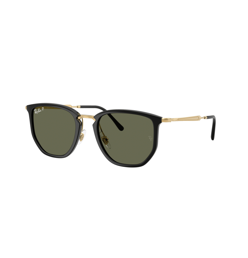 RAY-BAN - RB4451 - 630658 - 53