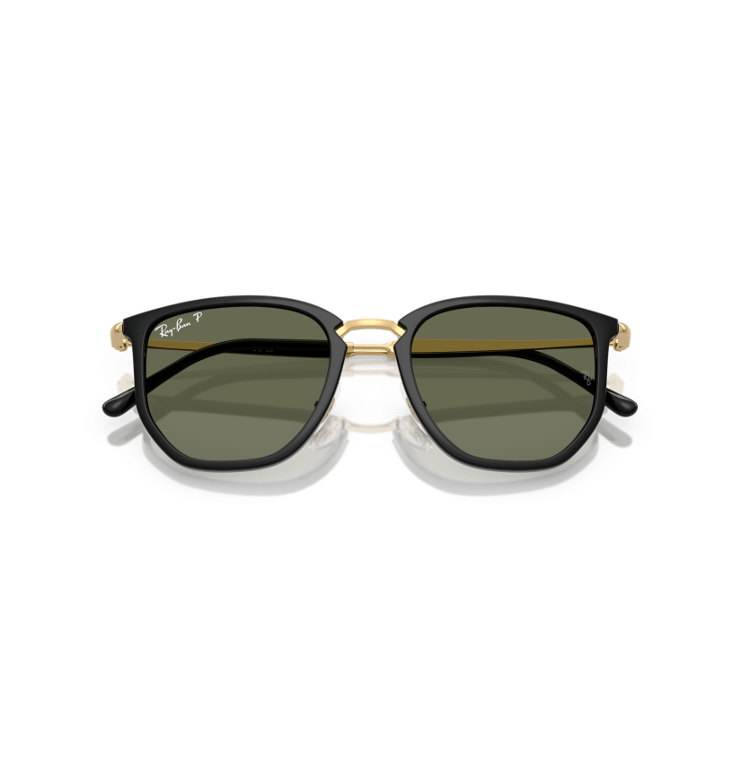RAY-BAN - RB4451 - 630658 - 53