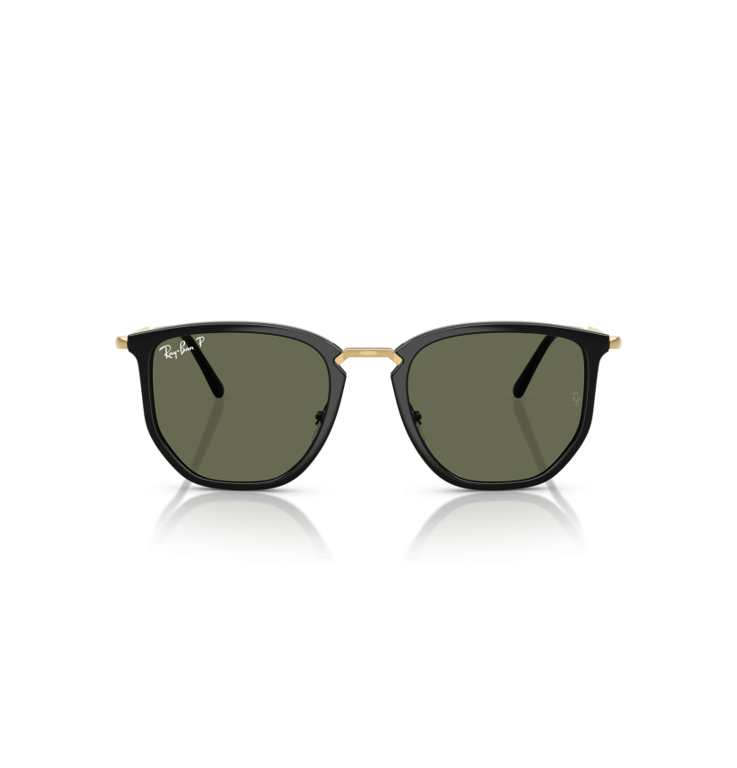 RAY-BAN - RB4451 - 630658 - 53