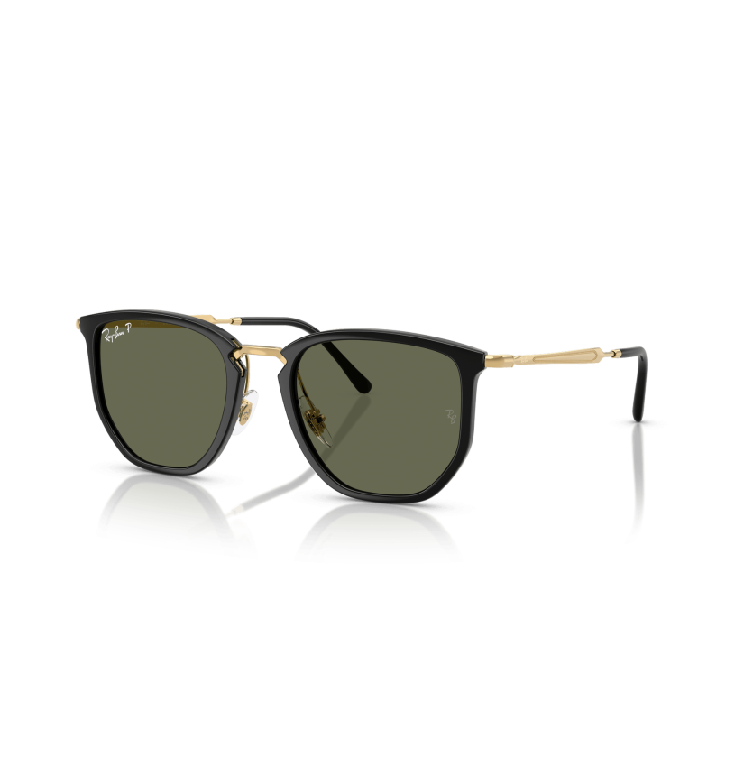 RAY-BAN - RB4451 - 630658 - 53