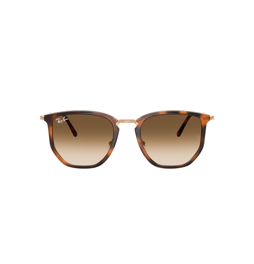 RAY-BAN - RB4451 - 680451 - 53