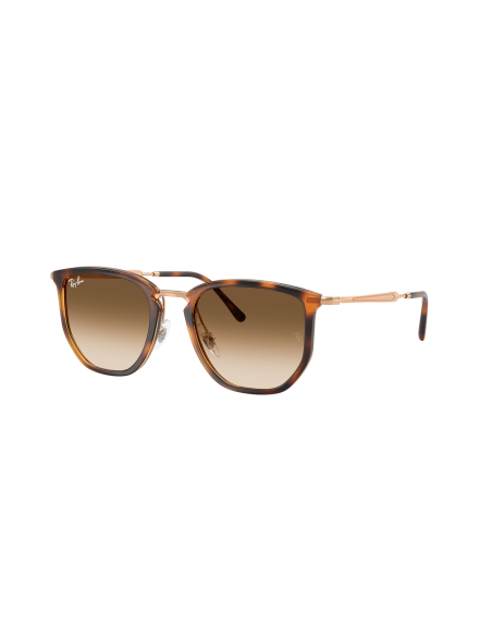 RAY-BAN - RB4451 - 680451 - 53
