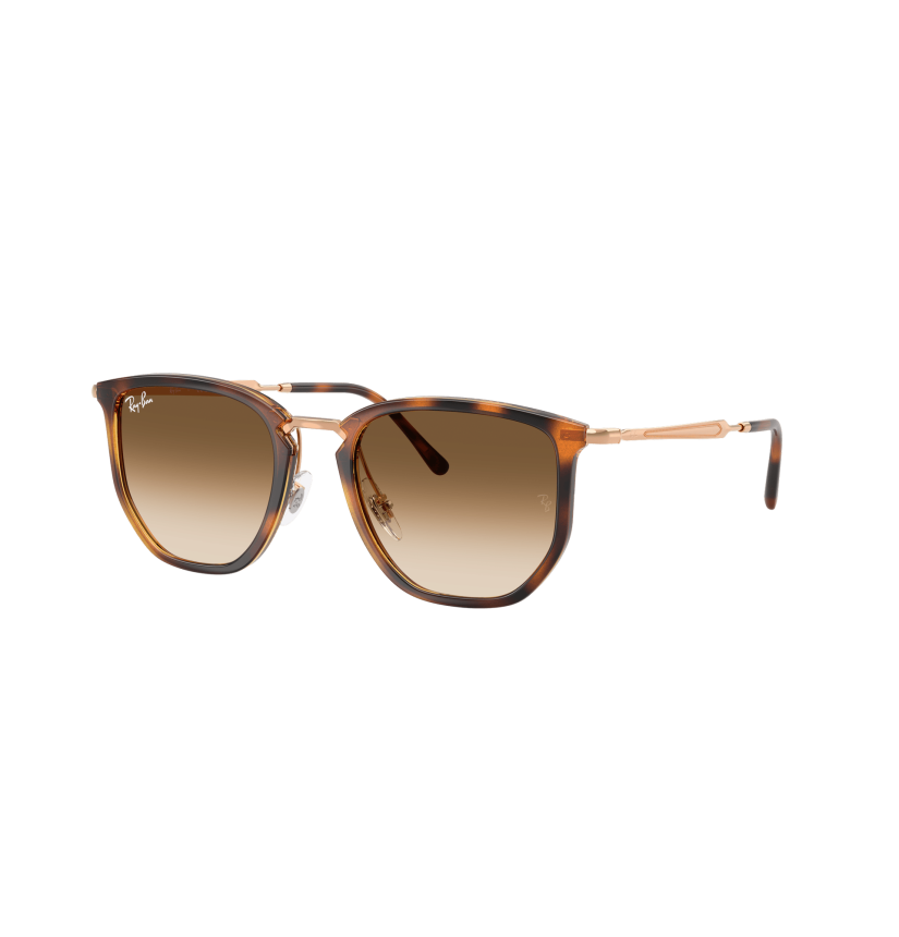 RAY-BAN - RB4451 - 680451 - 53