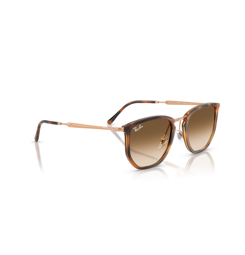 RAY-BAN - RB4451 - 680451 - 53