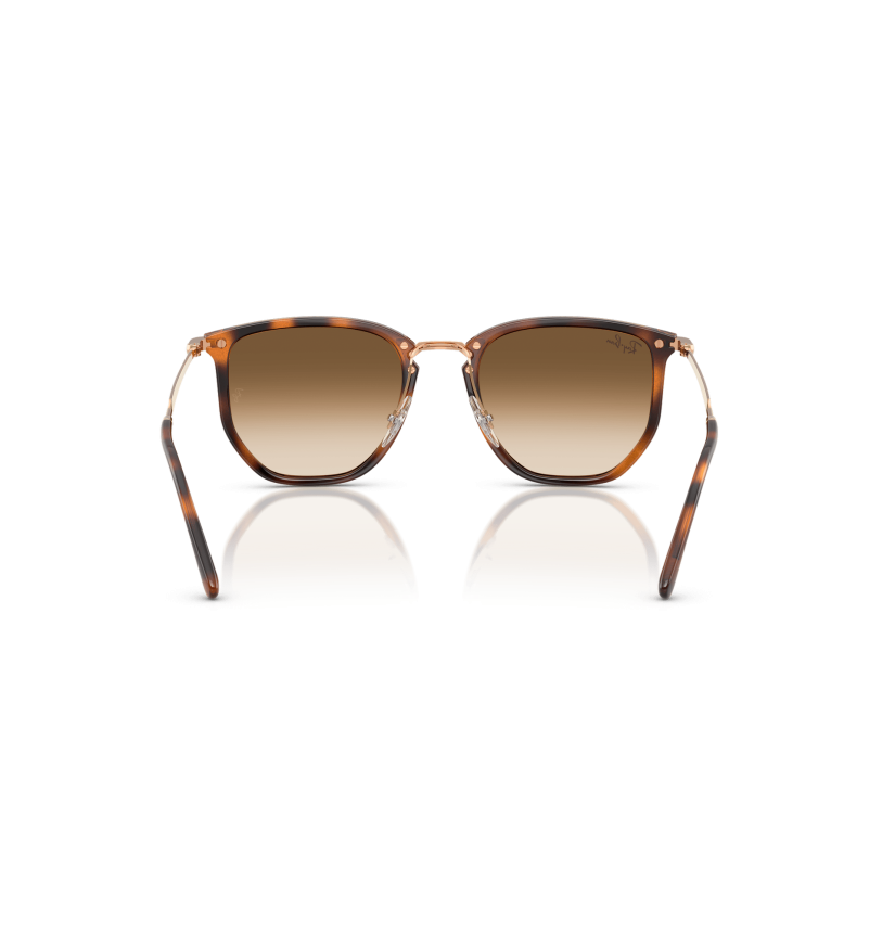 RAY-BAN - RB4451 - 680451 - 53