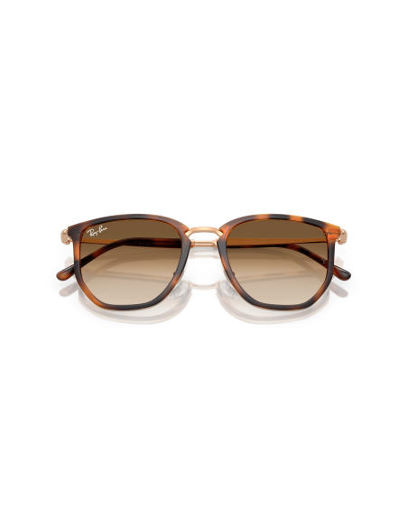RAY-BAN - RB4451 - 680451 - 53