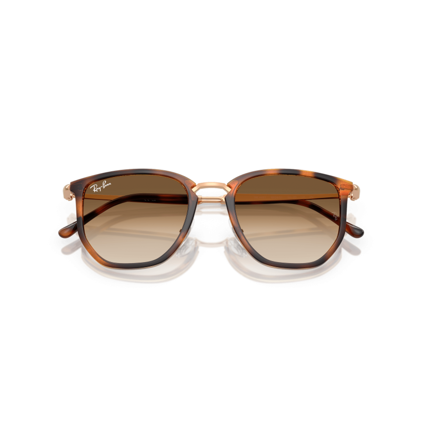 RAY-BAN - RB4451 - 680451 - 53