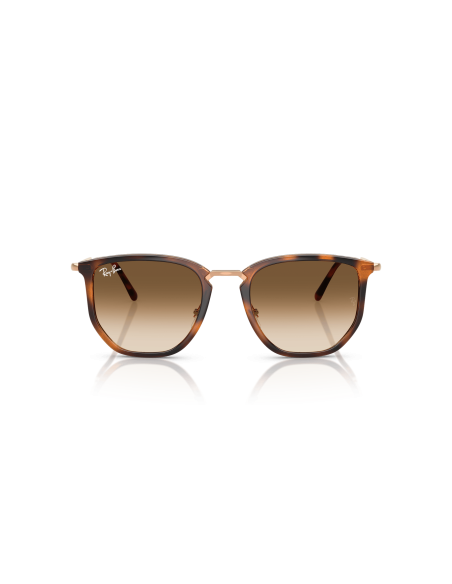 RAY-BAN - RB4451 - 680451 - 53