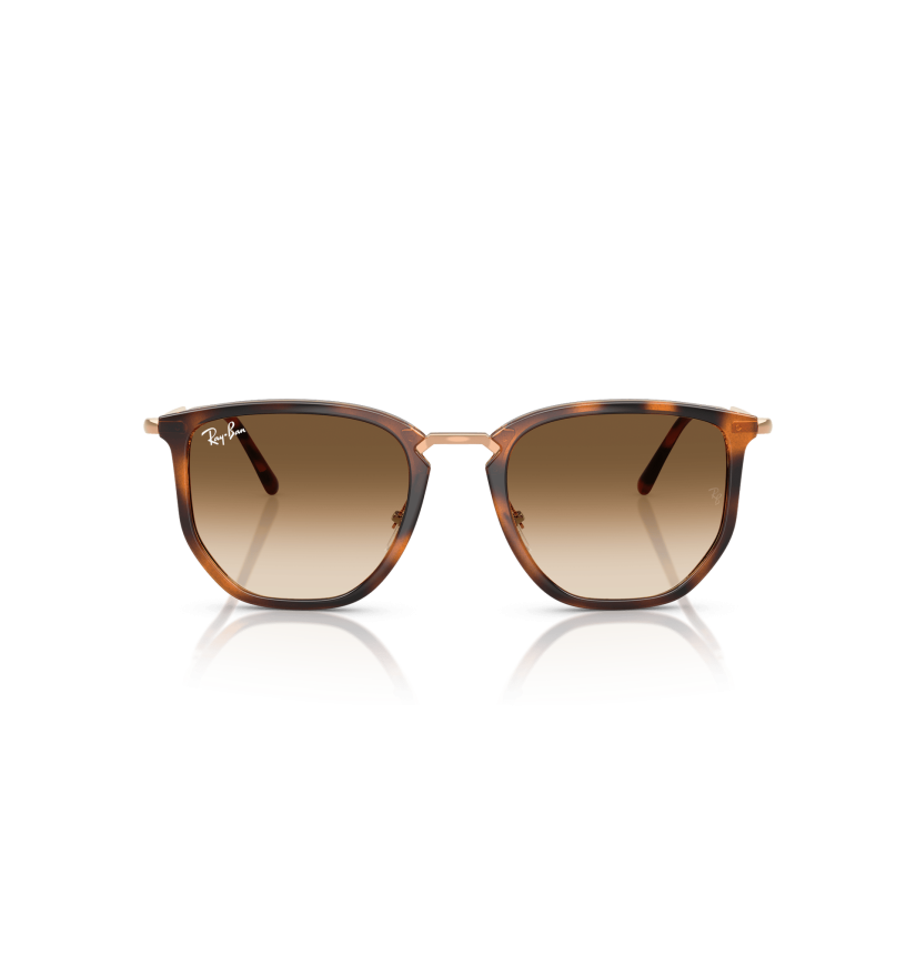RAY-BAN - RB4451 - 680451 - 53