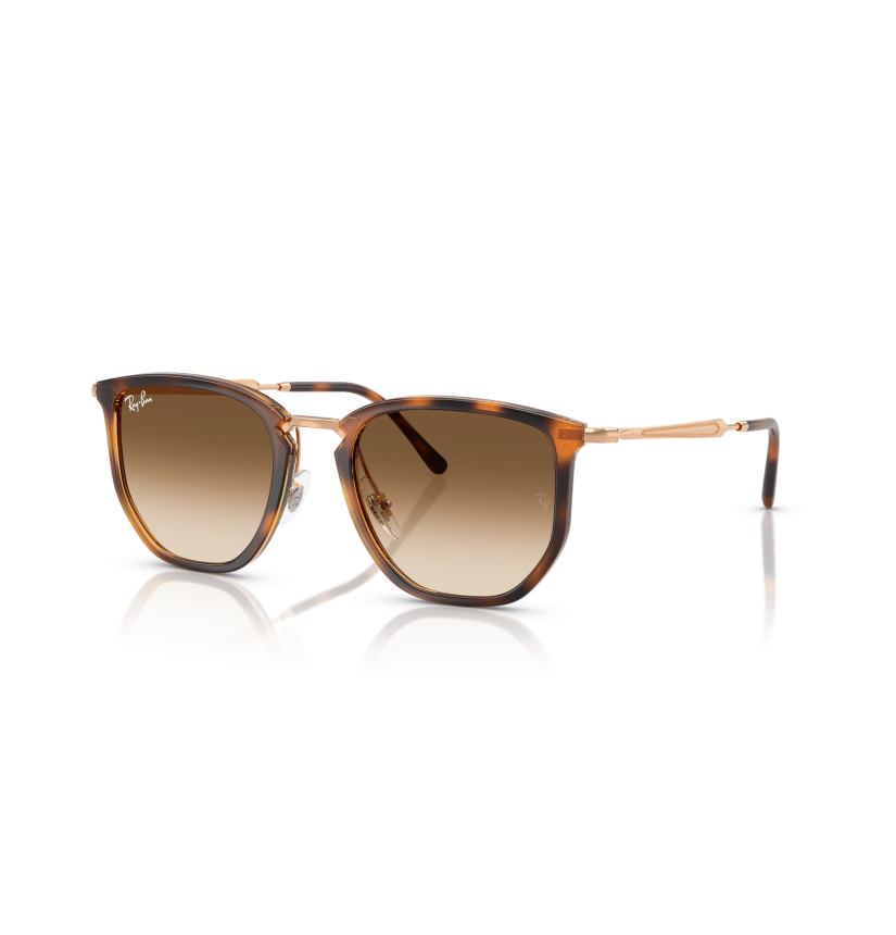 RAY-BAN - RB4451 - 680451 - 53
