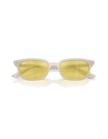 RAY-BAN - ZAYA - RB4456 - 68086D - 53