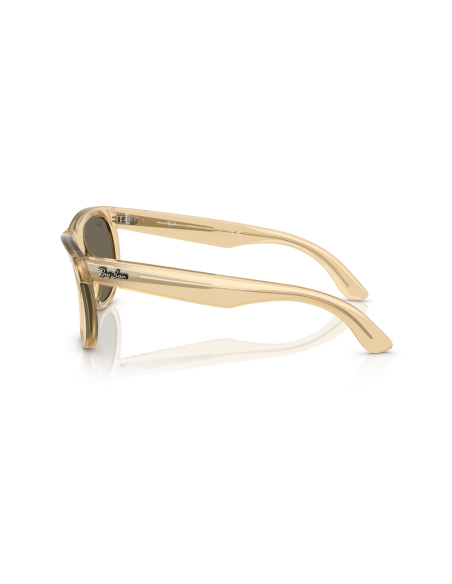 RAY-BAN - WAYFARER REVERSE - RBR0502S - 68215A - 53