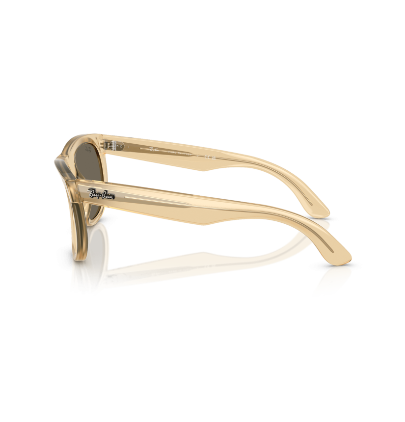 RAY-BAN - WAYFARER REVERSE - RBR0502S - 68215A - 53