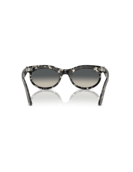 0RB2242__133371__P21__shad__bk