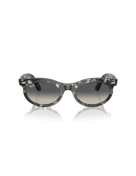 0RB2242__133371__P21__shad__fr