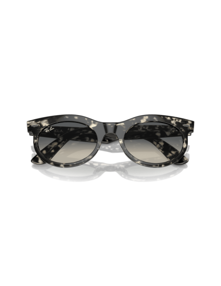 0RB2242__133371__P21__shad__cfr