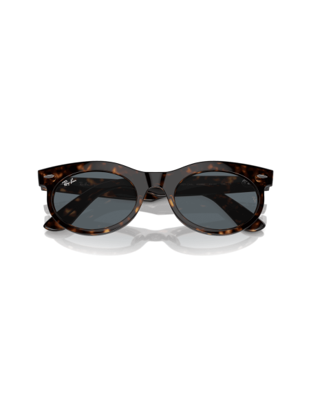 0RB2242__902_R5__P21__shad__cfr