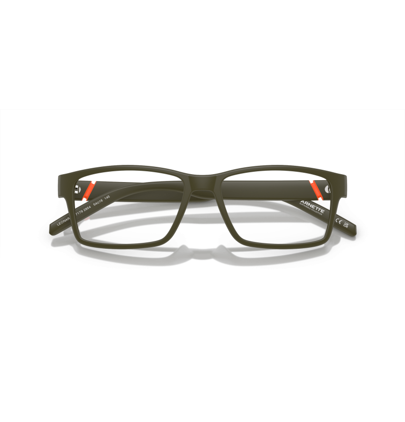 ARNETTE - LEONARDO - AN7179 - 2854 - 54