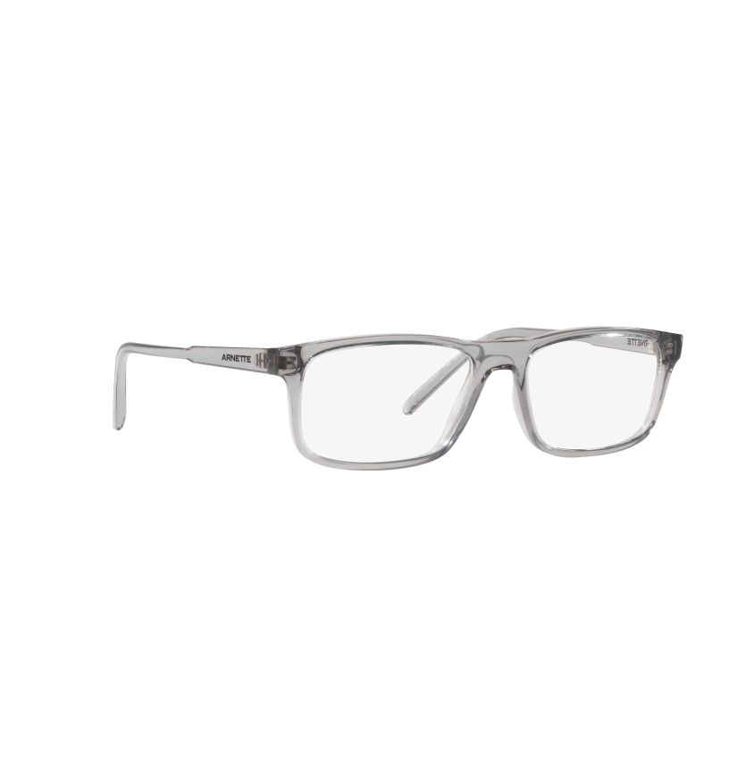 ARNETTE - DARK VOYAGER - AN7194 - 2665 - 54