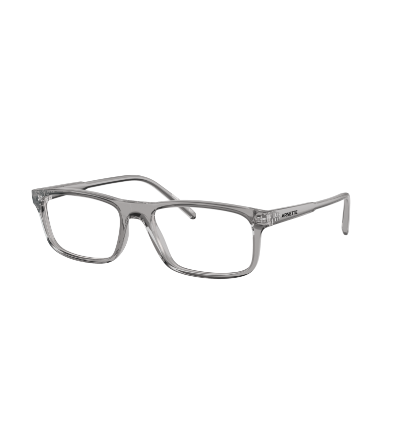 ARNETTE - DARK VOYAGER - AN7194 - 2665 - 54