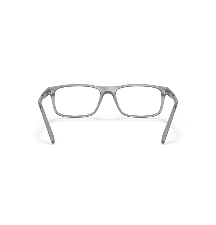 ARNETTE - DARK VOYAGER - AN7194 - 2665 - 54