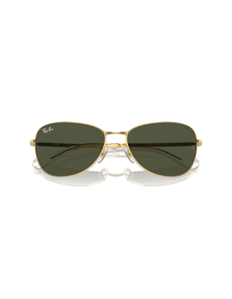 0RB3733__001_31__P21__shad__cfr