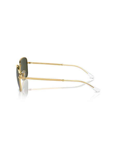 0RB3733__001_31__P21__shad__lt