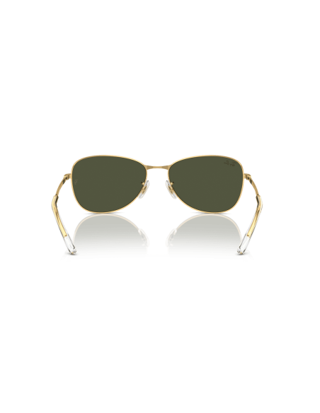 0RB3733__001_31__P21__shad__bk