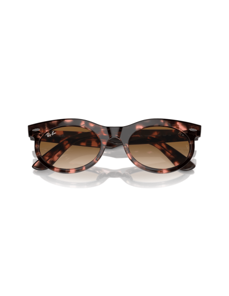 0RB2242__133451__P21__shad__cfr