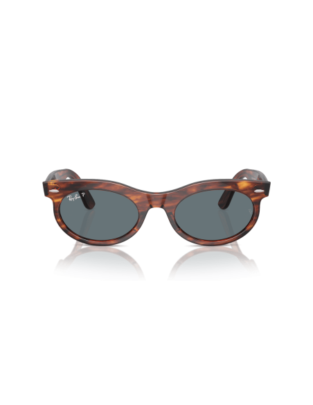 0RB2242__954_3R__P21__shad__fr