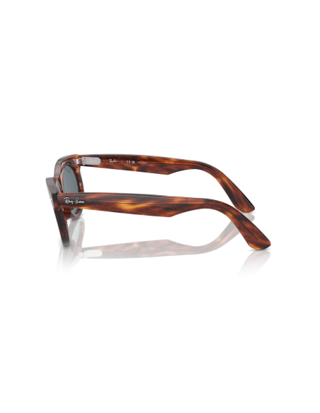 0RB2242__954_3R__P21__shad__lt