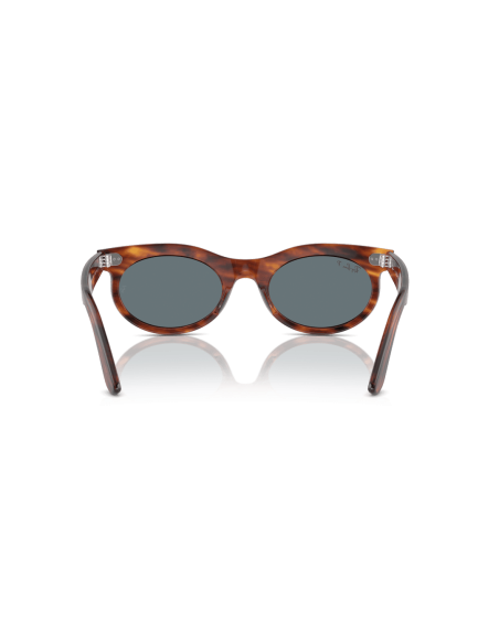 0RB2242__954_3R__P21__shad__bk