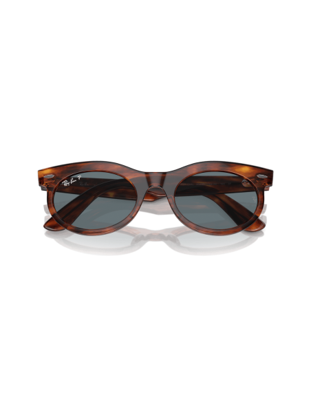 0RB2242__954_3R__P21__shad__cfr